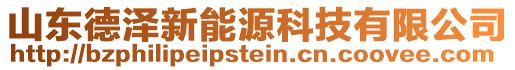 山東德澤新能源科技有限公司