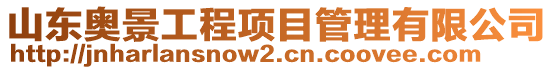 山東奧景工程項目管理有限公司