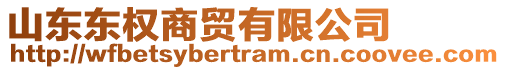 山東東權(quán)商貿(mào)有限公司