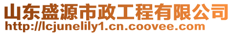 山東盛源市政工程有限公司