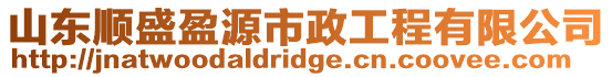 山東順盛盈源市政工程有限公司