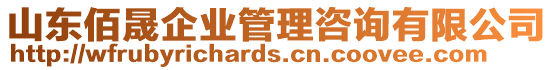 山東佰晟企業(yè)管理咨詢有限公司