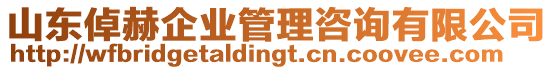 山東倬赫企業(yè)管理咨詢有限公司