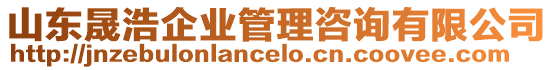 山東晟浩企業(yè)管理咨詢有限公司