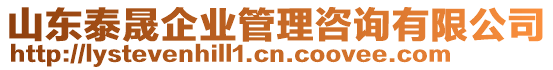 山東泰晟企業(yè)管理咨詢有限公司