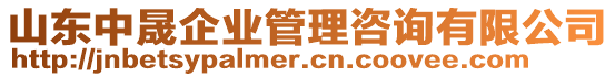 山東中晟企業(yè)管理咨詢有限公司