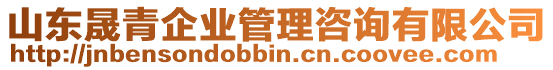 山東晟青企業(yè)管理咨詢有限公司