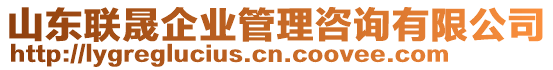 山东联晟企业管理咨询有限公司