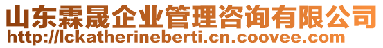 山東霖晟企業(yè)管理咨詢有限公司