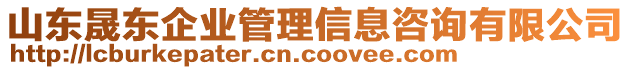 山東晟東企業(yè)管理信息咨詢有限公司