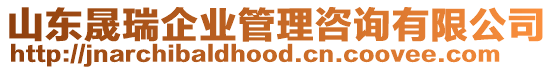 山東晟瑞企業(yè)管理咨詢有限公司