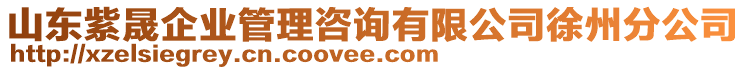 山東紫晟企業(yè)管理咨詢有限公司徐州分公司