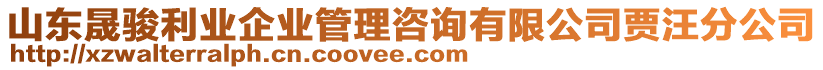 山東晟駿利業(yè)企業(yè)管理咨詢有限公司賈汪分公司