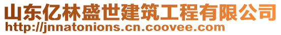 山東億林盛世建筑工程有限公司