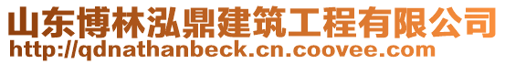 山東博林泓鼎建筑工程有限公司