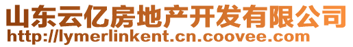 山東云億房地產(chǎn)開發(fā)有限公司