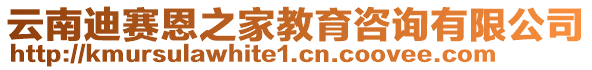 云南迪賽恩之家教育咨詢有限公司