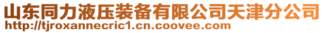 山東同力液壓裝備有限公司天津分公司