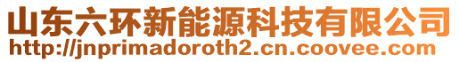 山東六環(huán)新能源科技有限公司