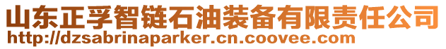 山東正孚智鏈石油裝備有限責任公司