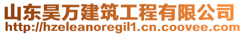 山東昊萬建筑工程有限公司