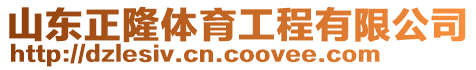 山東正隆體育工程有限公司