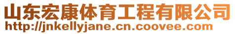 山東宏康體育工程有限公司