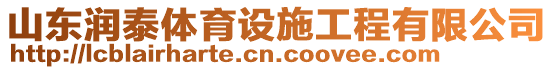 山東潤泰體育設施工程有限公司