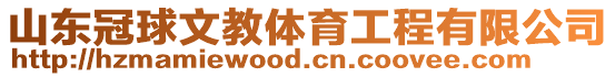 山東冠球文教體育工程有限公司