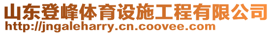 山東登峰體育設(shè)施工程有限公司