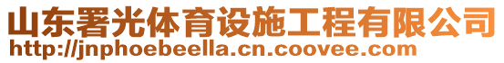 山東署光體育設(shè)施工程有限公司