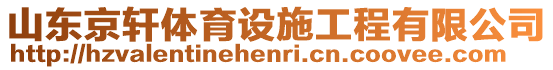 山東京軒體育設(shè)施工程有限公司