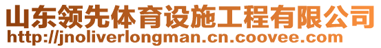 山東領(lǐng)先體育設(shè)施工程有限公司