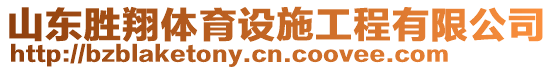 山東勝翔體育設(shè)施工程有限公司