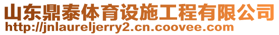 山東鼎泰體育設(shè)施工程有限公司