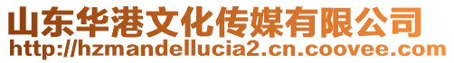 山東華港文化傳媒有限公司