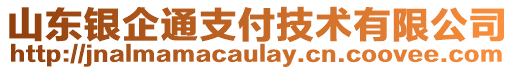 山東銀企通支付技術有限公司