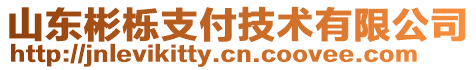 山東彬櫟支付技術(shù)有限公司