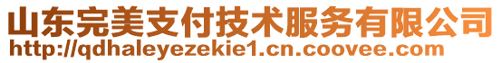 山東完美支付技術(shù)服務(wù)有限公司