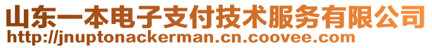 山東一本電子支付技術(shù)服務(wù)有限公司