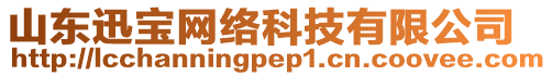 山東迅寶網(wǎng)絡(luò)科技有限公司