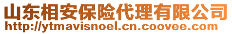 山東相安保險代理有限公司