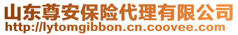 山東尊安保險代理有限公司