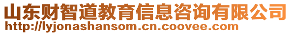 山東財(cái)智道教育信息咨詢有限公司