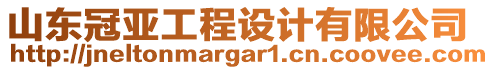 山東冠亞工程設(shè)計(jì)有限公司