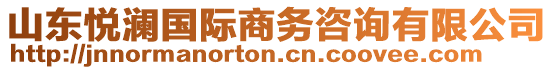 山東悅瀾國(guó)際商務(wù)咨詢有限公司