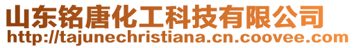 山東銘唐化工科技有限公司