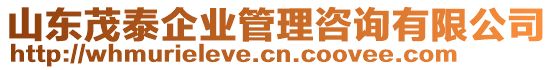 山東茂泰企業(yè)管理咨詢有限公司