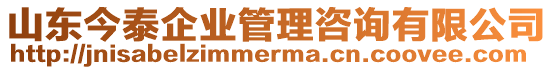 山東今泰企業(yè)管理咨詢有限公司