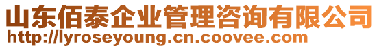 山东佰泰企业管理咨询有限公司